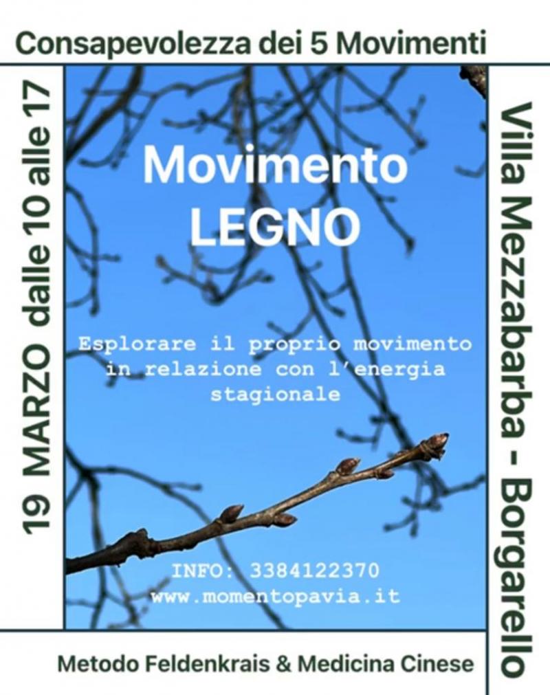 Consapevolezza DEI 5 Movimenti: Elemento LEGNO